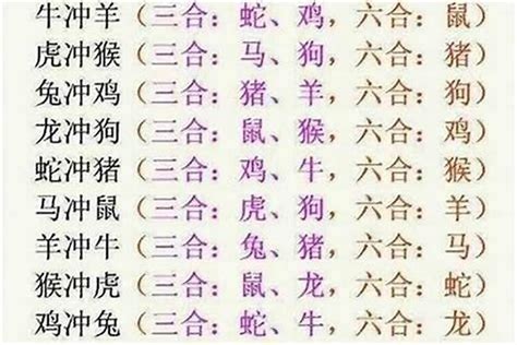 六合貴人三合六合圖|你的生肖貴人是誰？「三合六合」如何區分？(圖) 